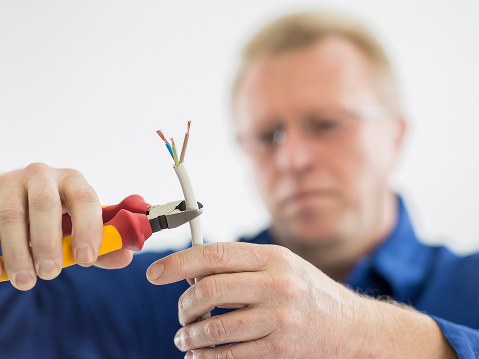 C F021729 bei Palm Elektroservice in Altenburg